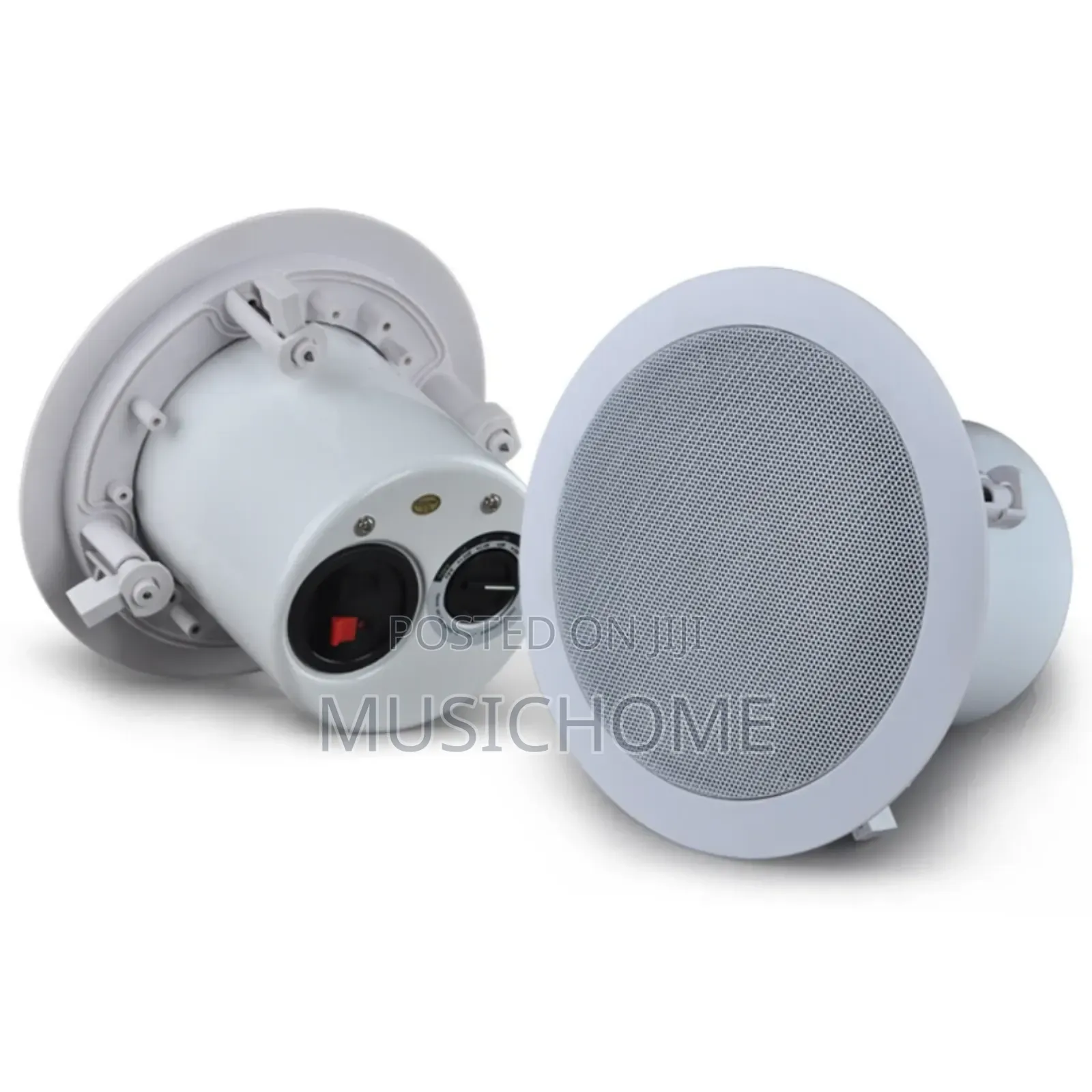 Powerful Ceiling Speaker