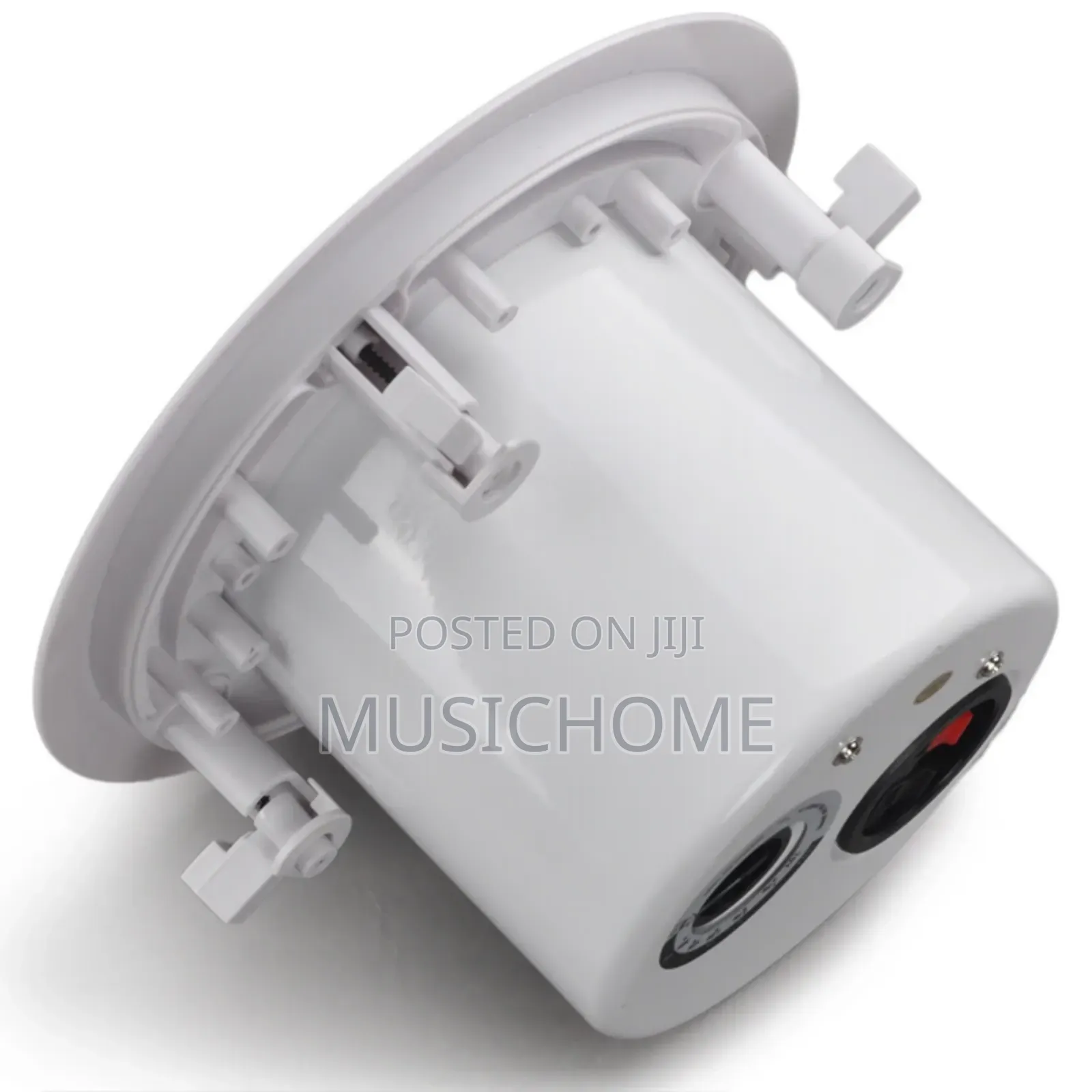Powerful Ceiling Speaker
