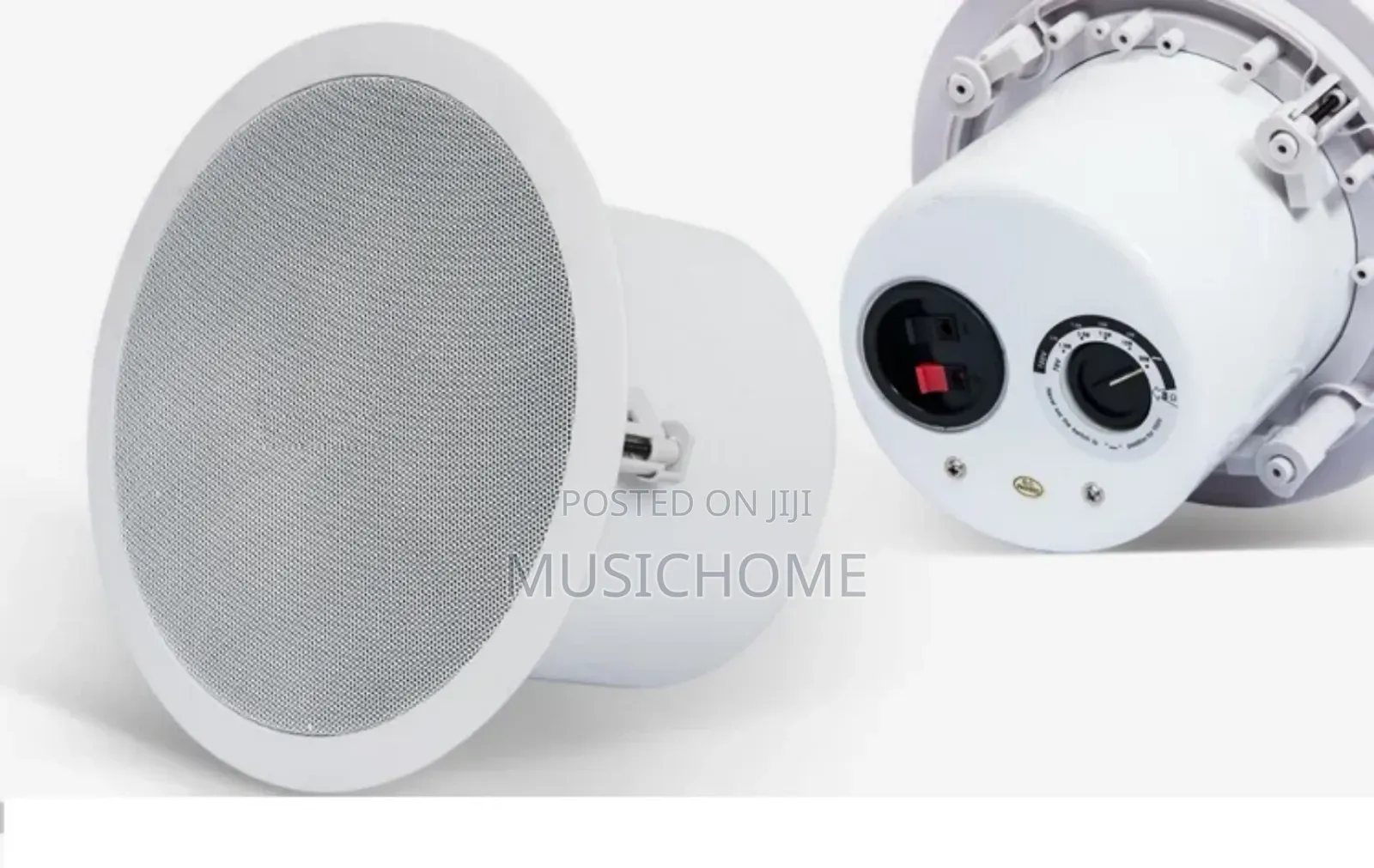 Powerful Ceiling Speaker