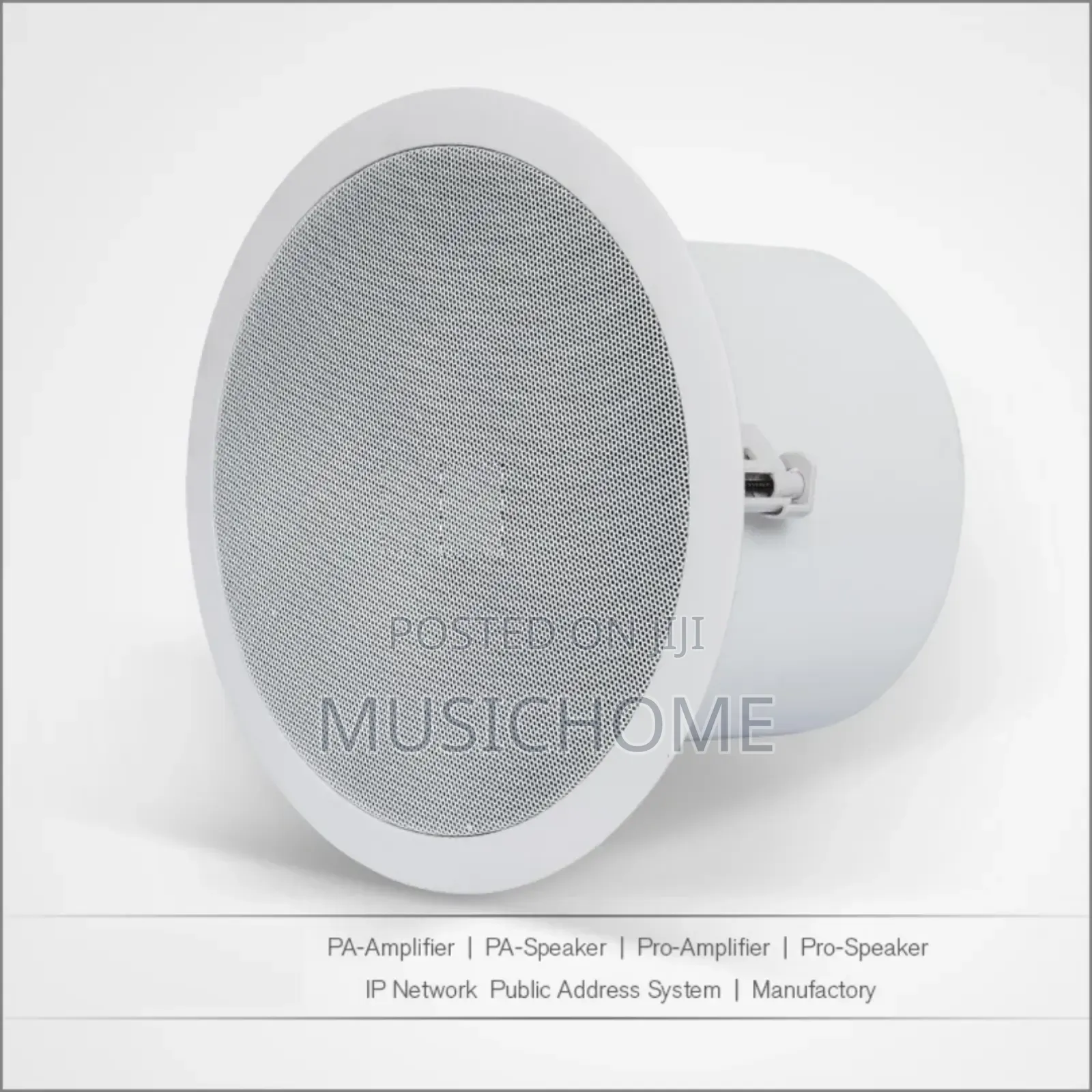 Powerful Ceiling Speaker