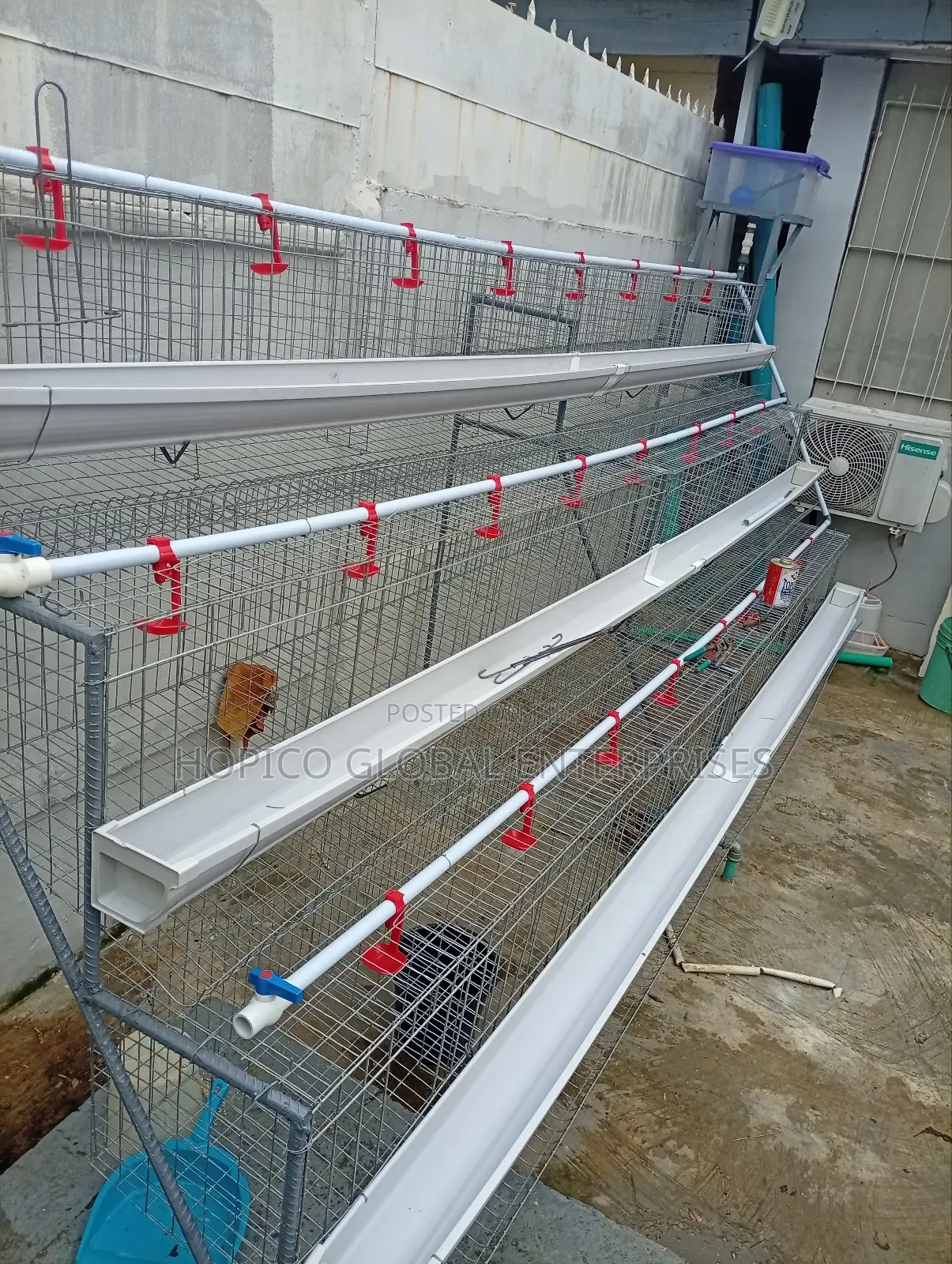 Complete 1 Set of Poultry Cafe