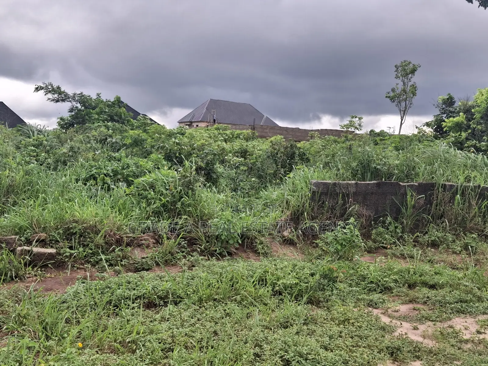 Land For Sale At Orji Town Annex