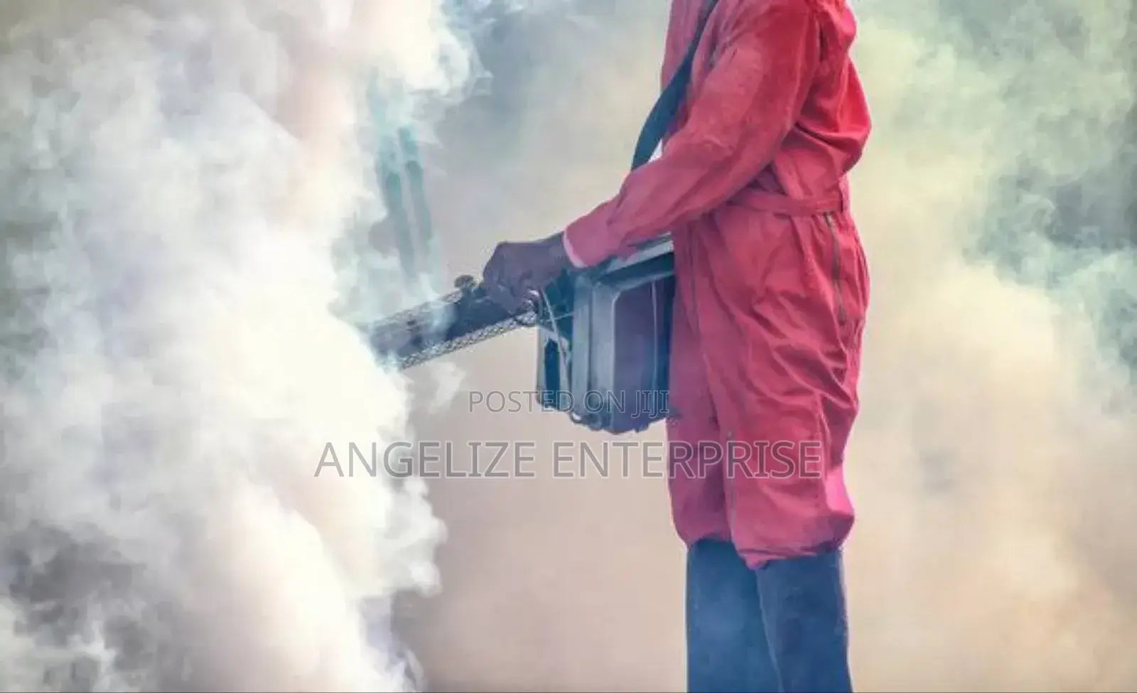 Angelize Fumigation Service Here for You