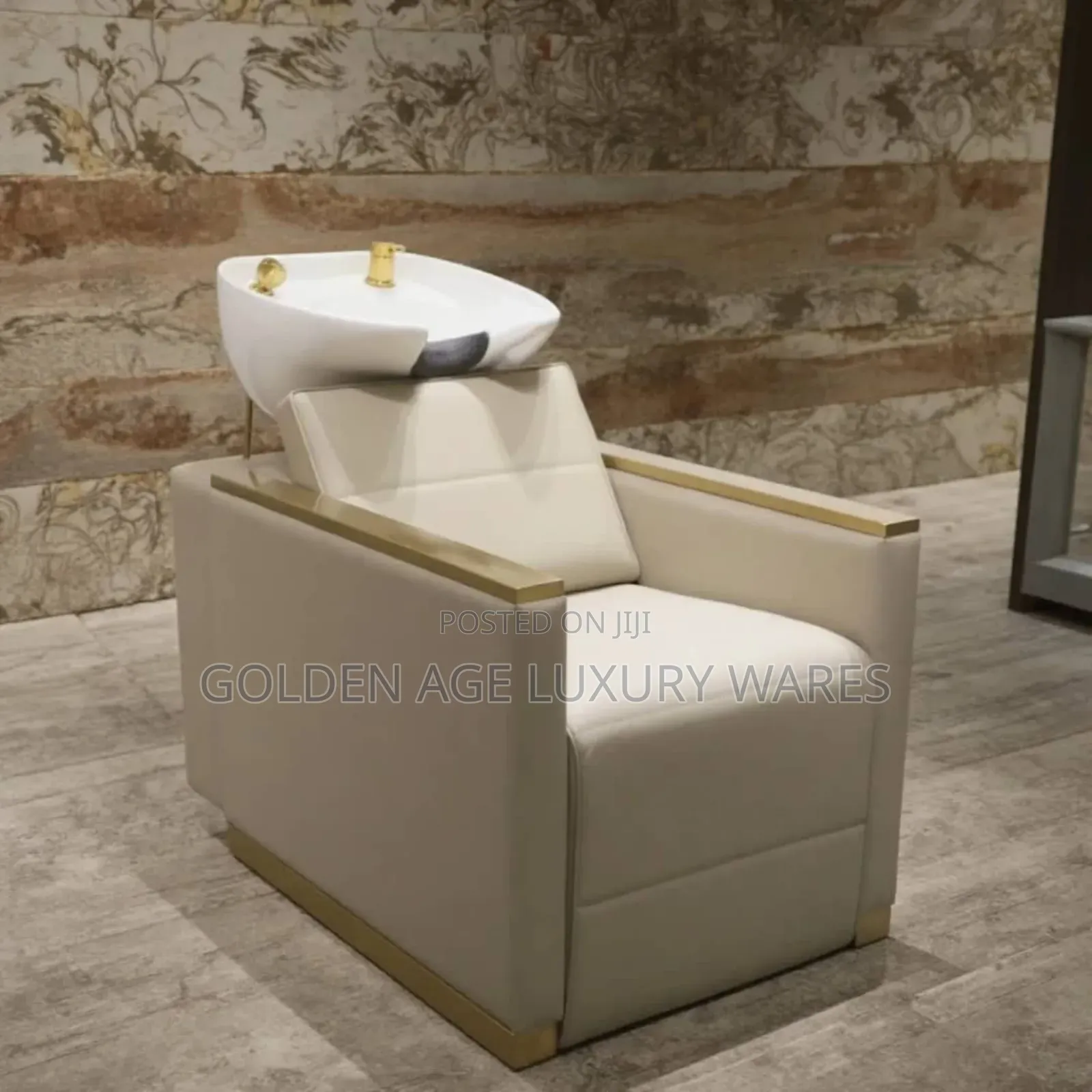 Salon Executive Chair and Hair Wash Basin