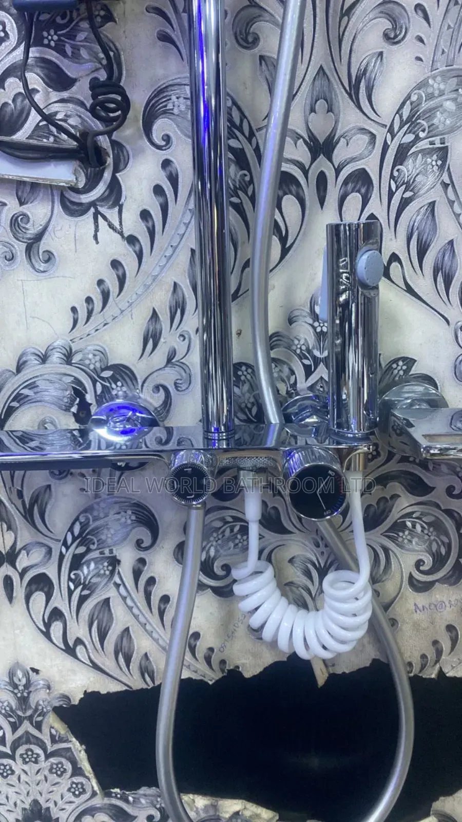 Stainless Standing Shower
