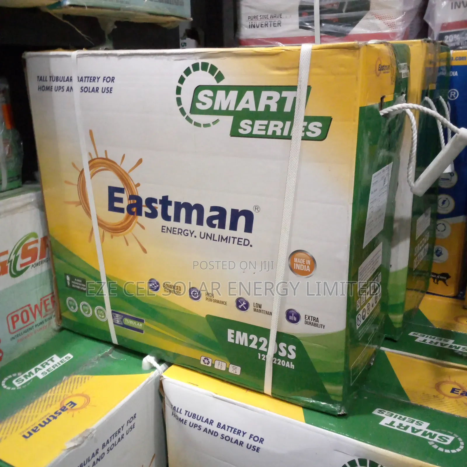 12v 220ahm Eastman Tubular Battery