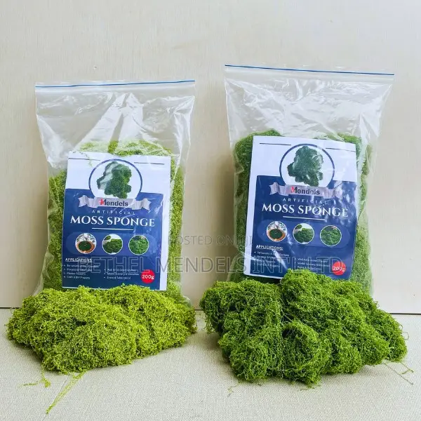 Premium Sponge Moss – 200g Decorative Natural Filler