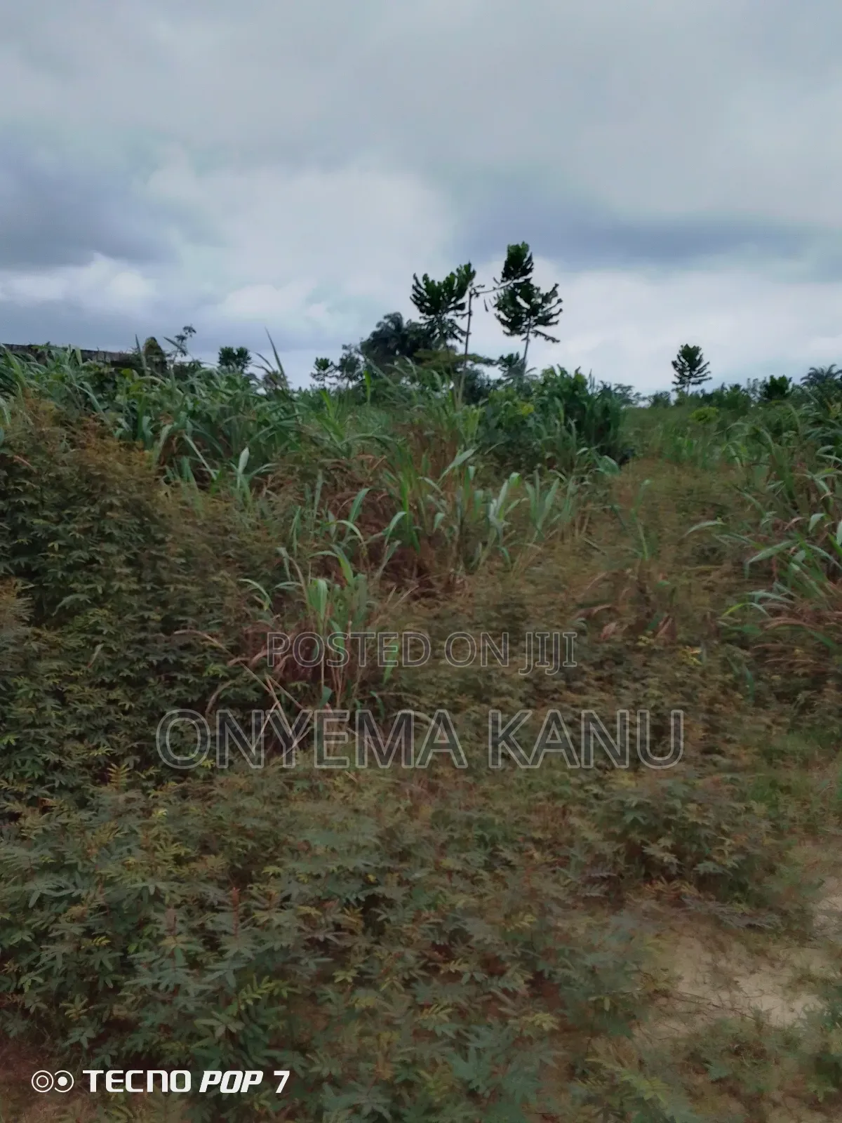 Buy and Build: 10 Minutes Drive to Ph