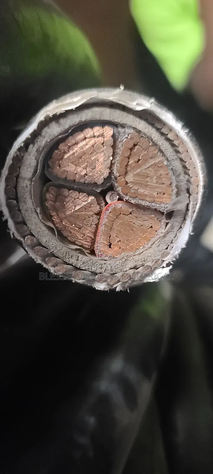 4x185mm Coleman Wire and Cable Nigeria