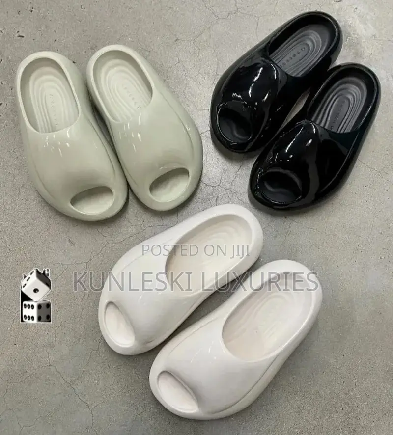 Original X-Vessel Noah’S Ark Slides Collections