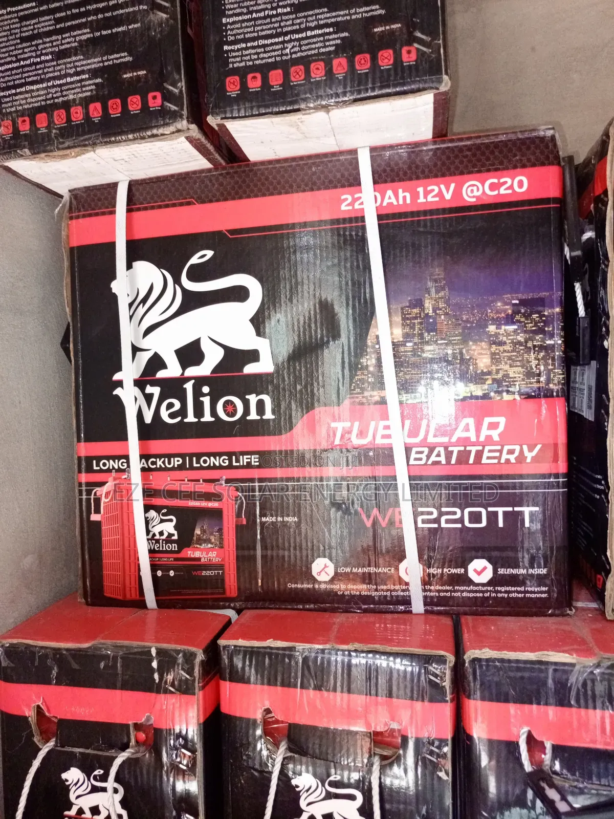 12v 220ahm Welion Tubular Battery