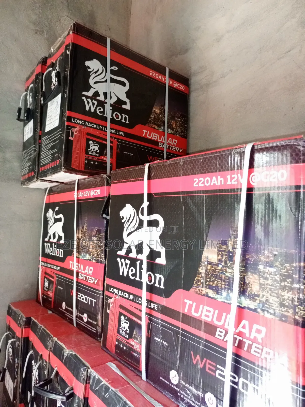 12v 220ahm Welion Tubular Battery