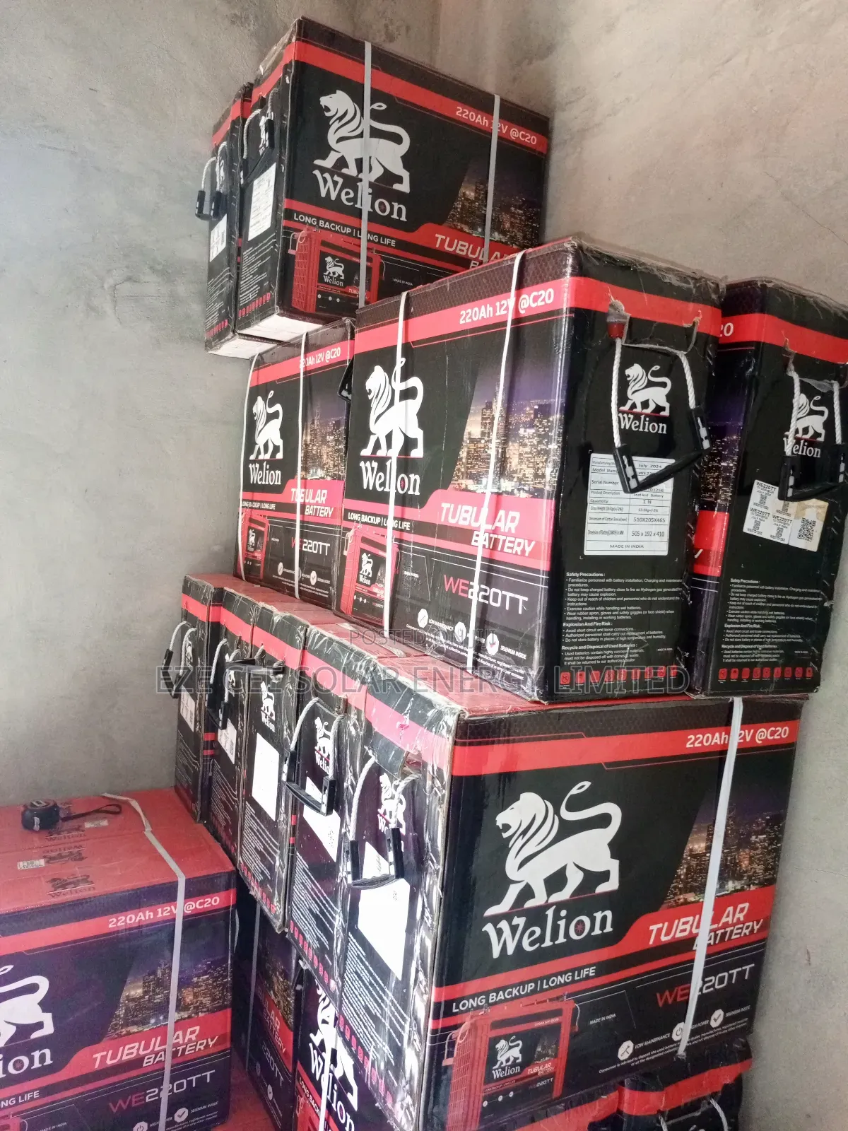 12v 220ahm Welion Tubular Battery