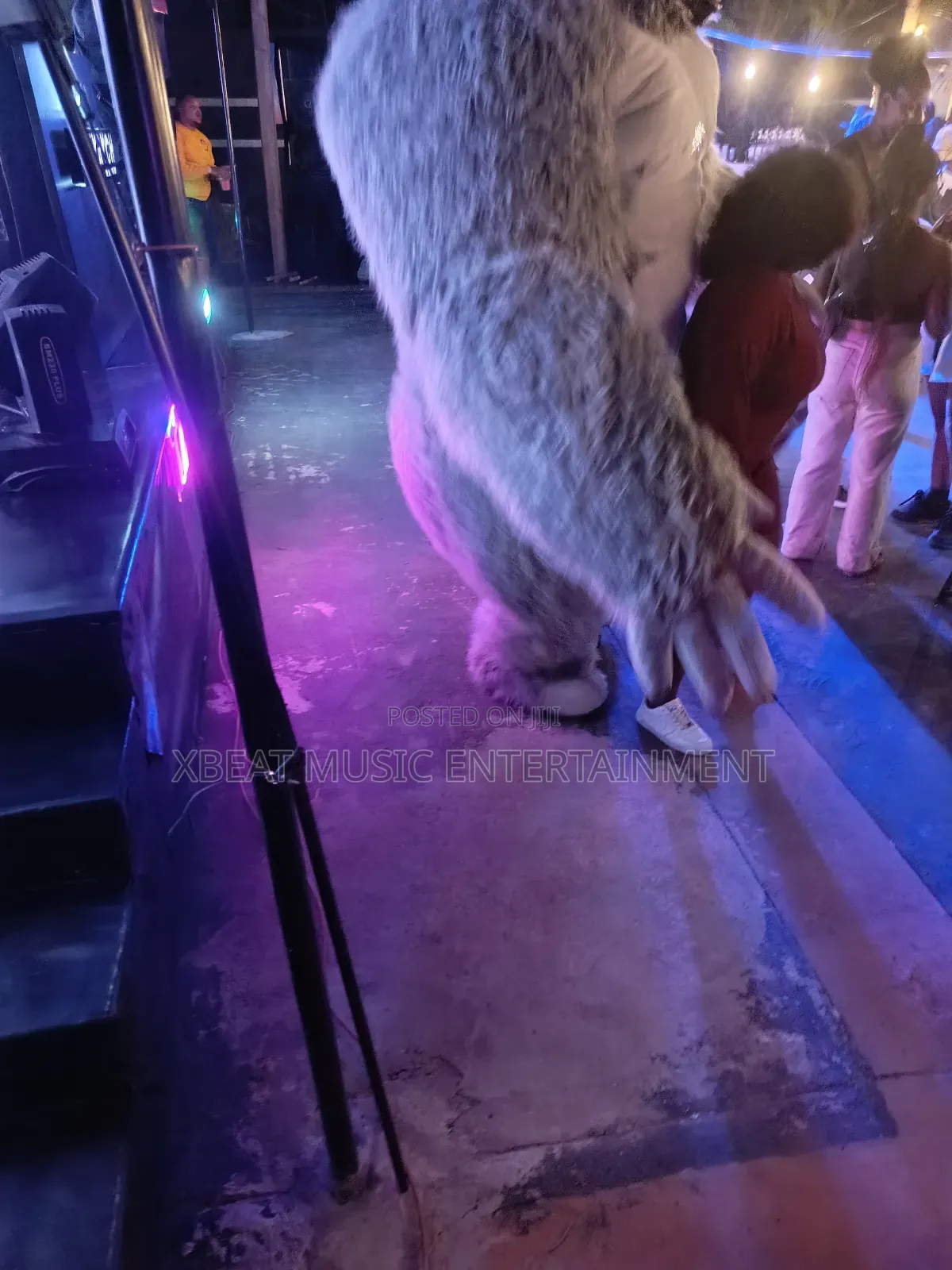 Inflatable Gorilla And Panda Giants Costumes