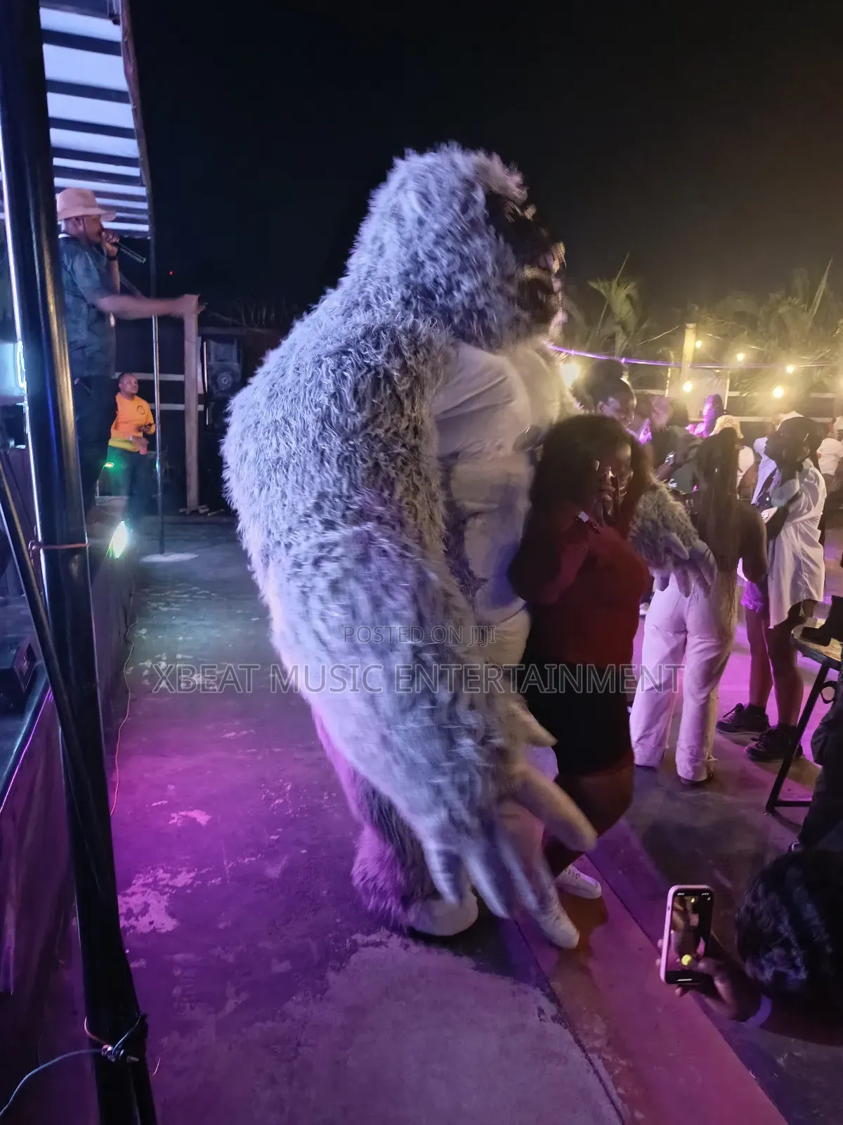 Inflatable Gorilla And Panda Giants Costumes