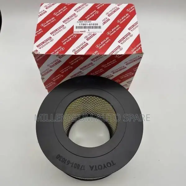 Air Filter Assy