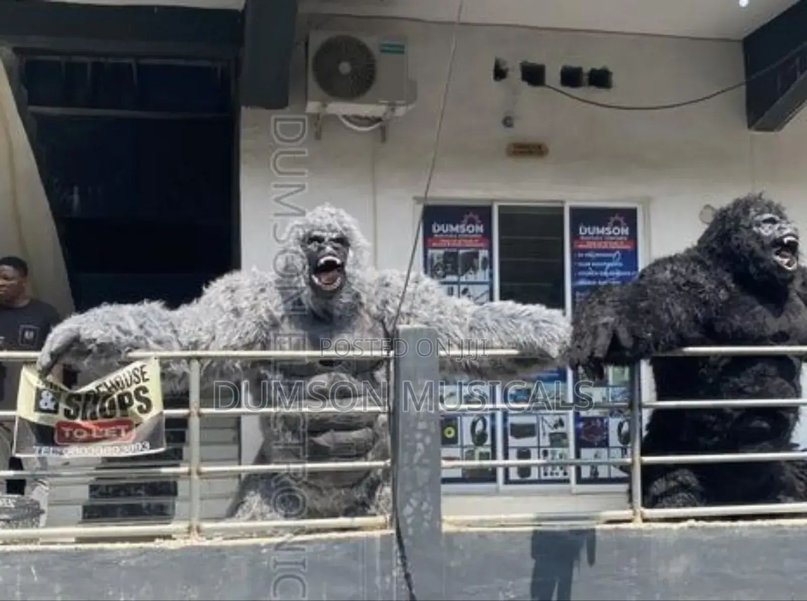 Gorilla Costume (Different Designs)