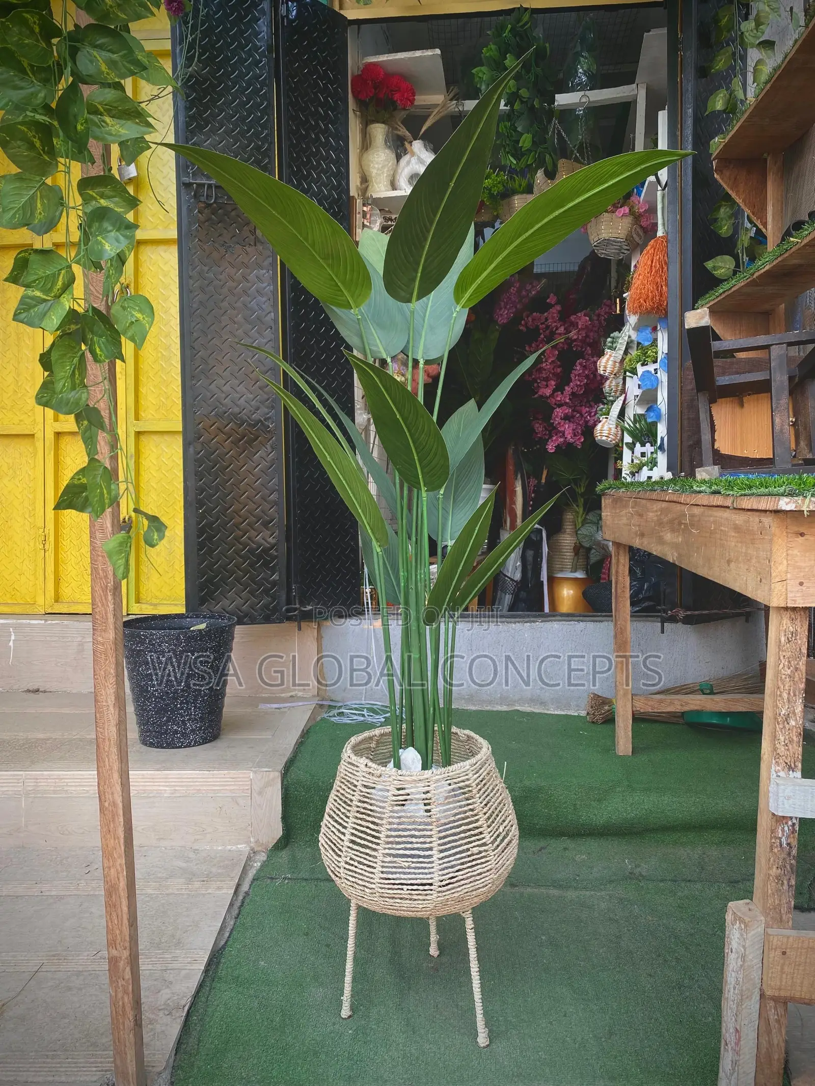 Basket Pot and Big Flower