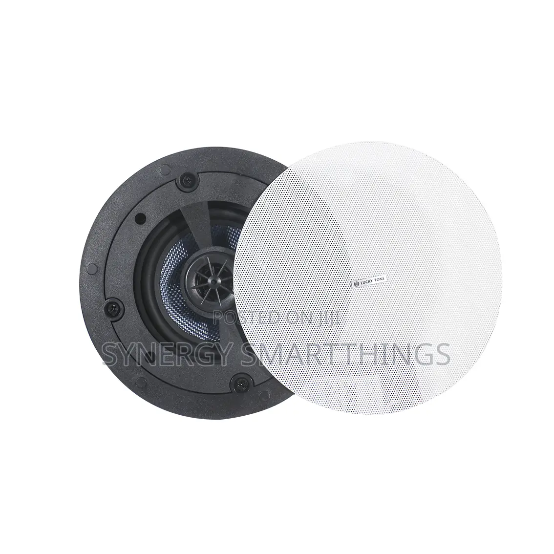 Lucky Tone 6.5'' Cp-62l Passive Ceiling Speaker