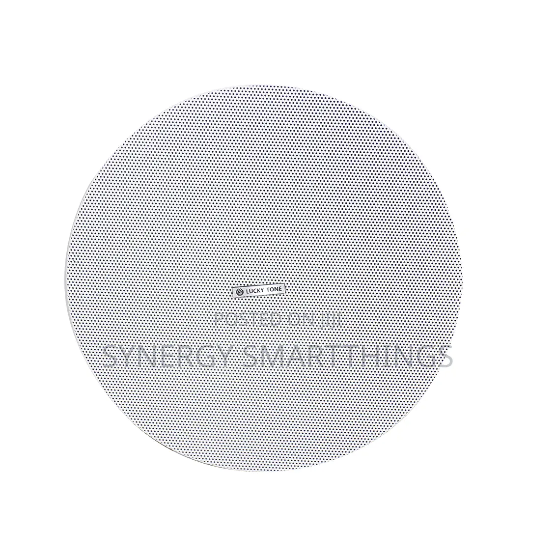 Lucky Tone 6.5'' Cp-62l Passive Ceiling Speaker