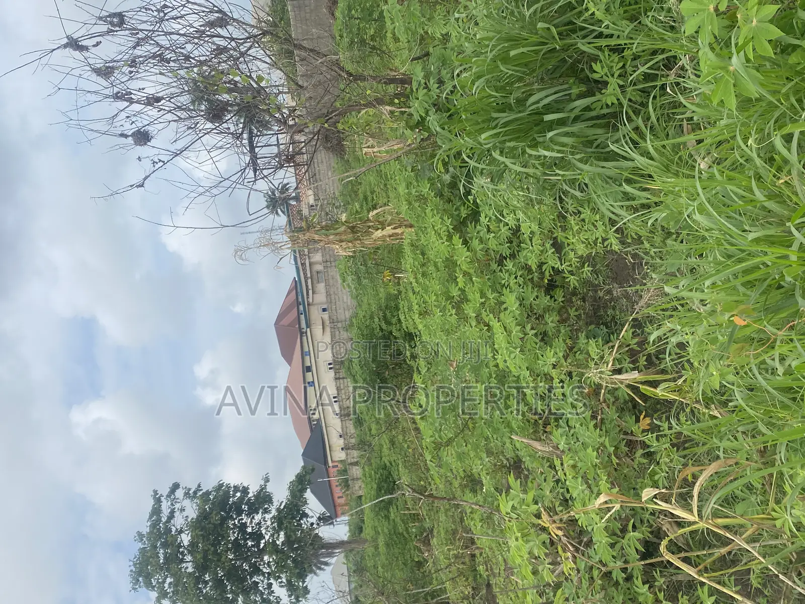 One Plot on Land in a Buildup Area for Sale