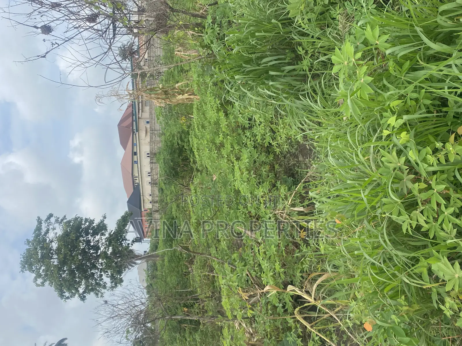 One Plot on Land in a Buildup Area for Sale