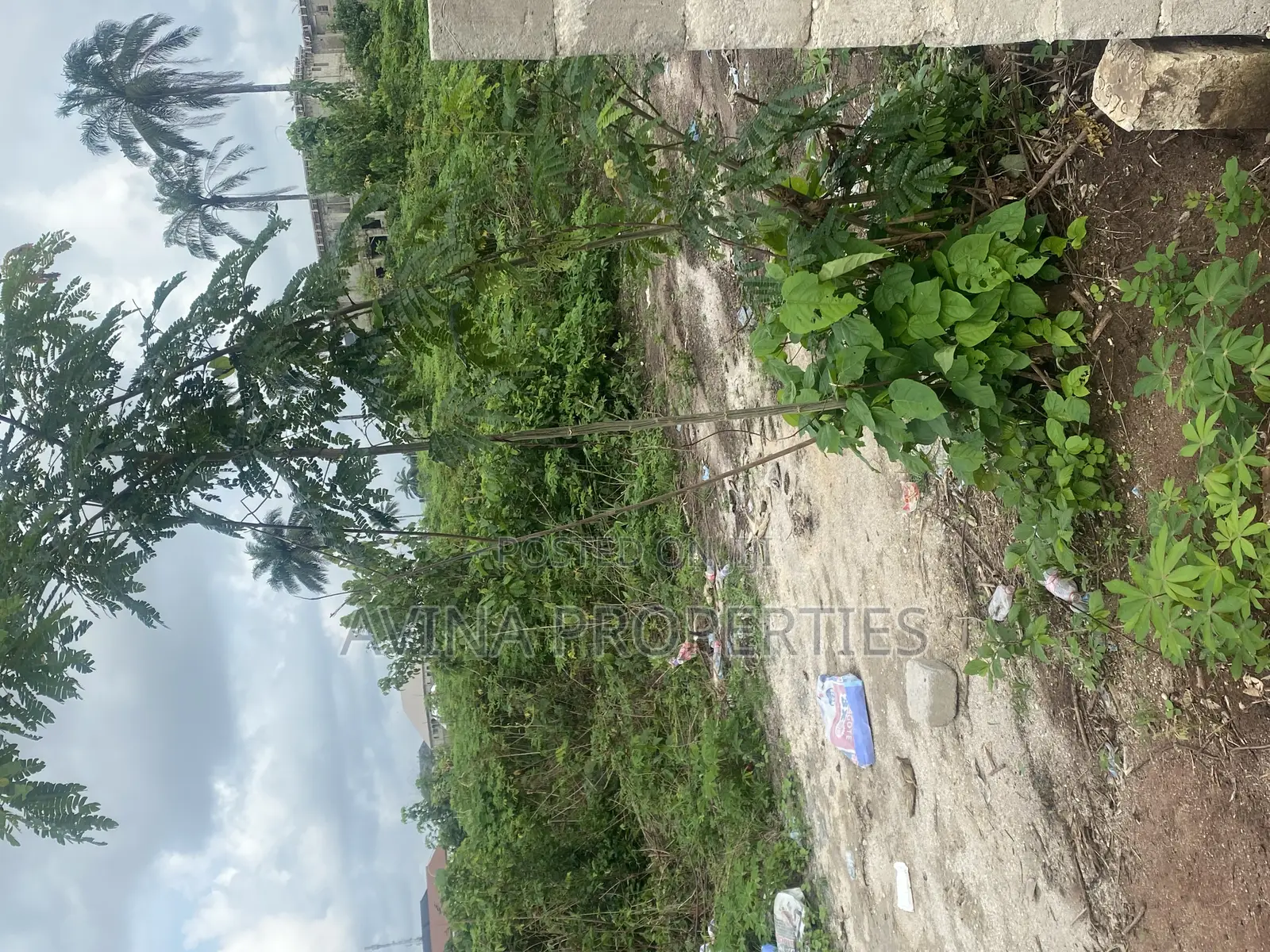 One Plot on Land in a Buildup Area for Sale