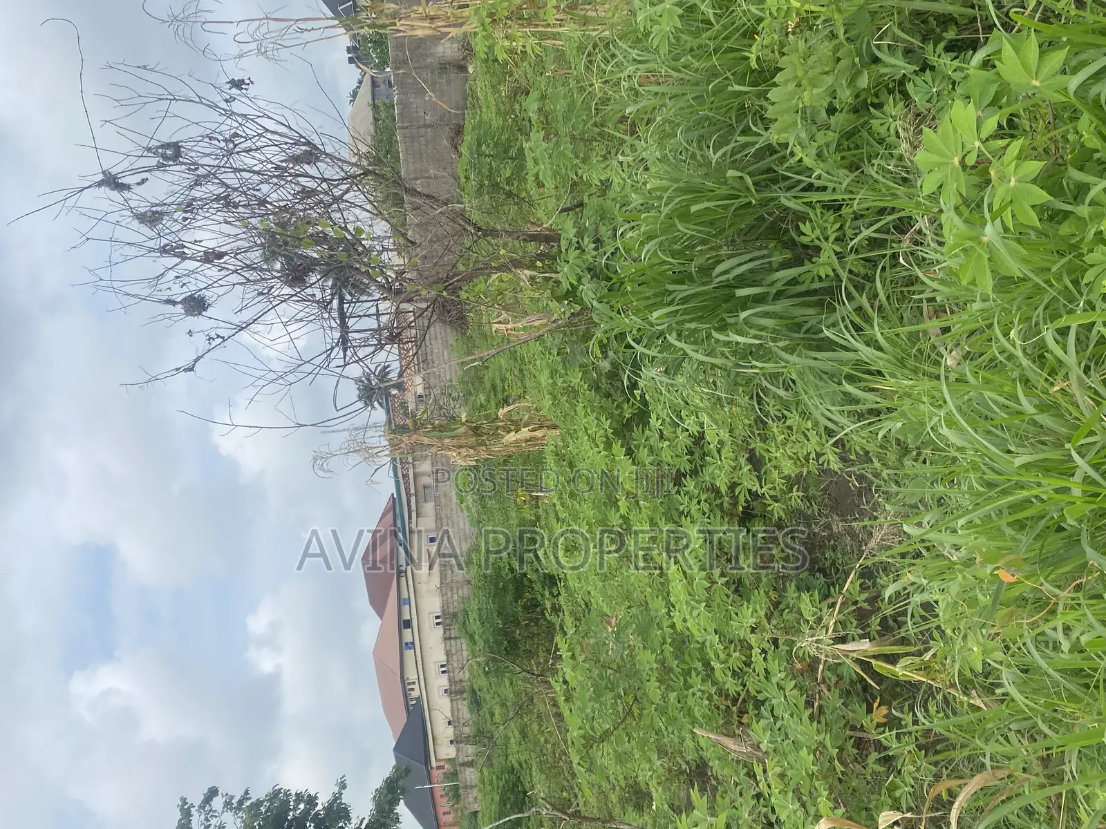 One Plot on Land in a Buildup Area for Sale