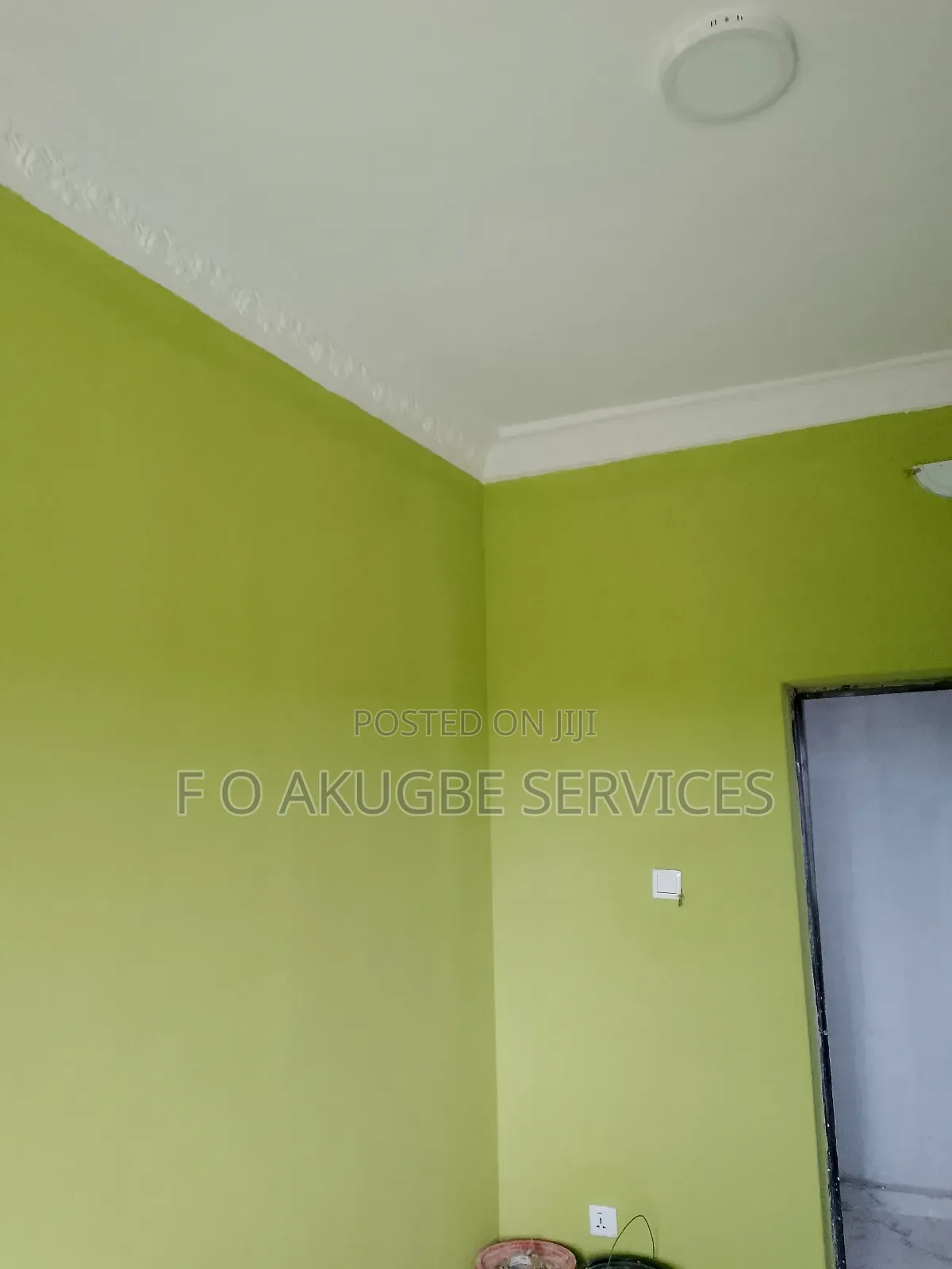 Professional House Painter and Screeder