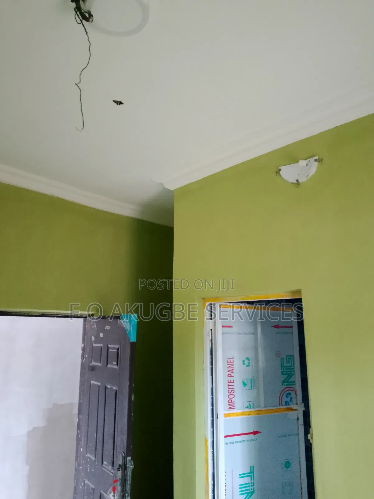 Professional House Painter and Screeder