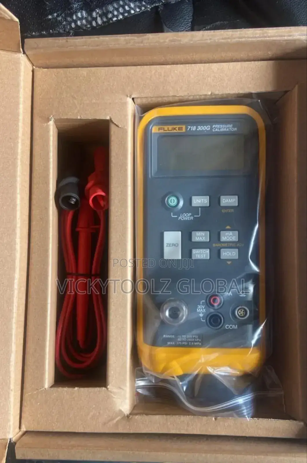 Fluke Pressure Calibrator 718 300g