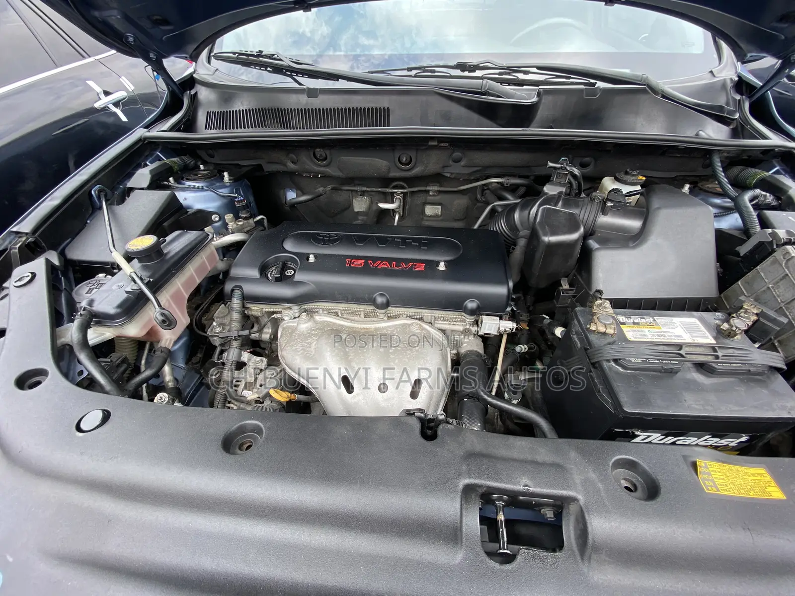 Toyota RAV4 Limited 2008 Blue