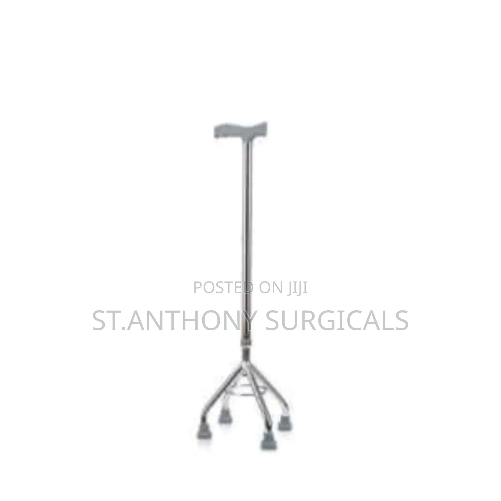 Walking Stick