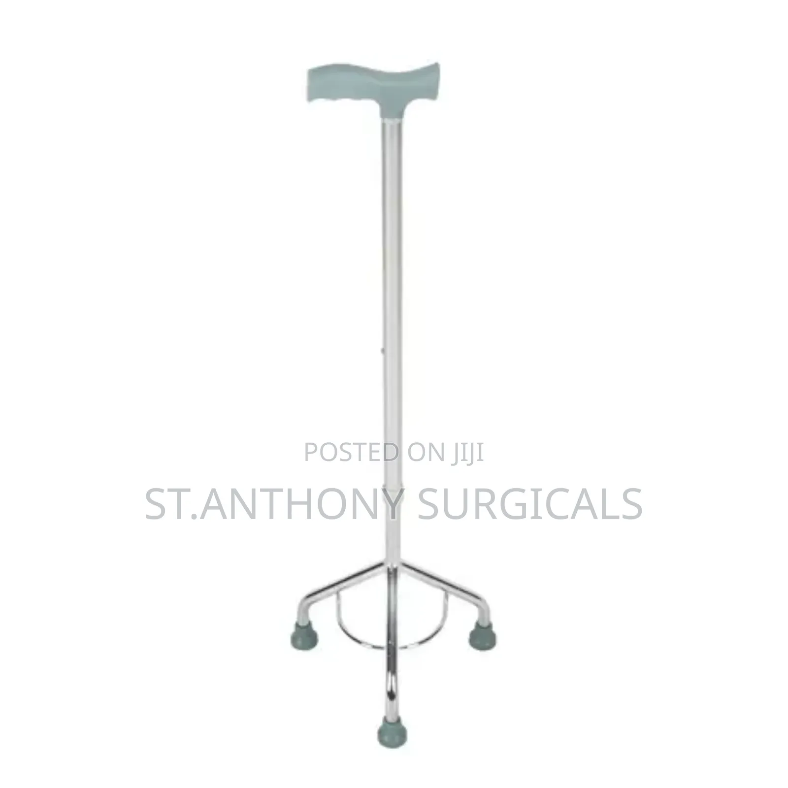 Walking Stick