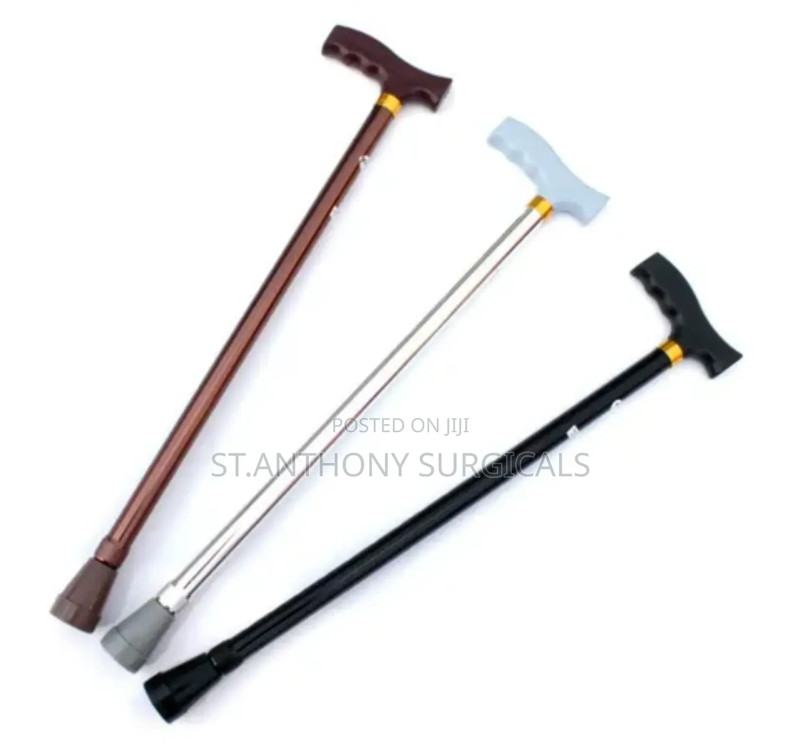 Walking Stick