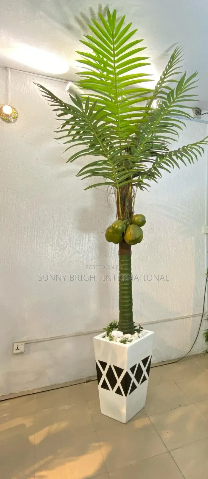Plant Flower Pot