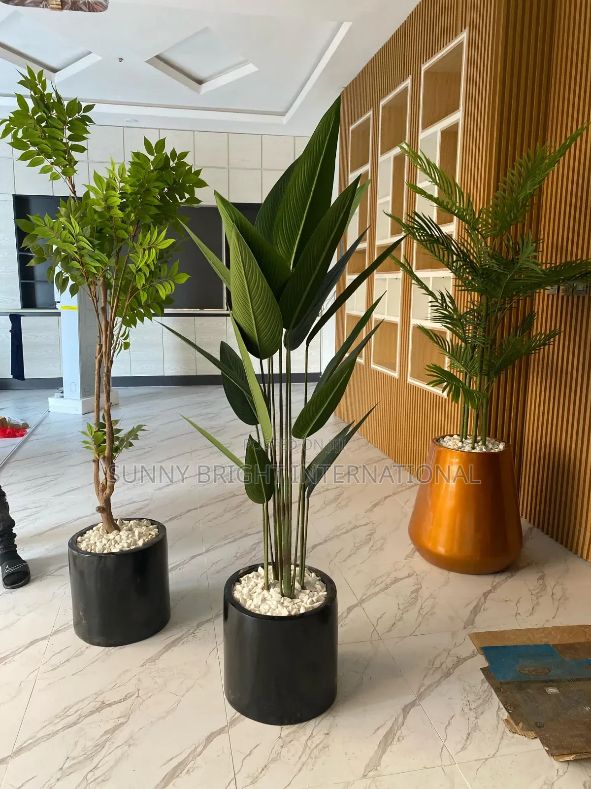 Plant and Flowers Pot
