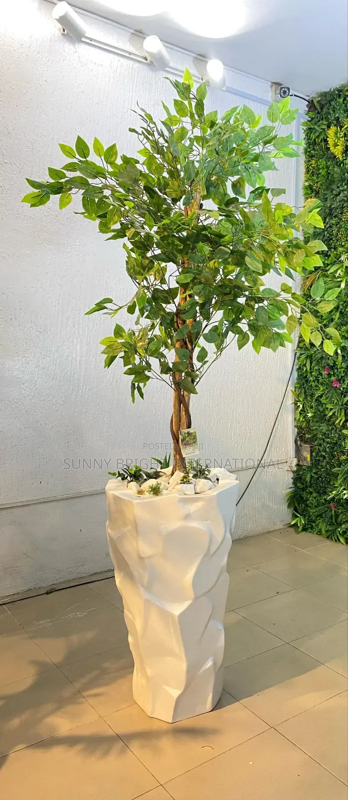 Plant and Flowers Pot