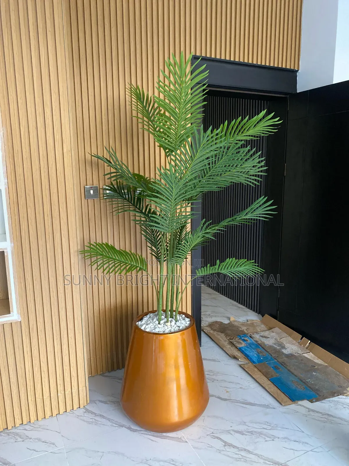 Plant and Flowers Pot