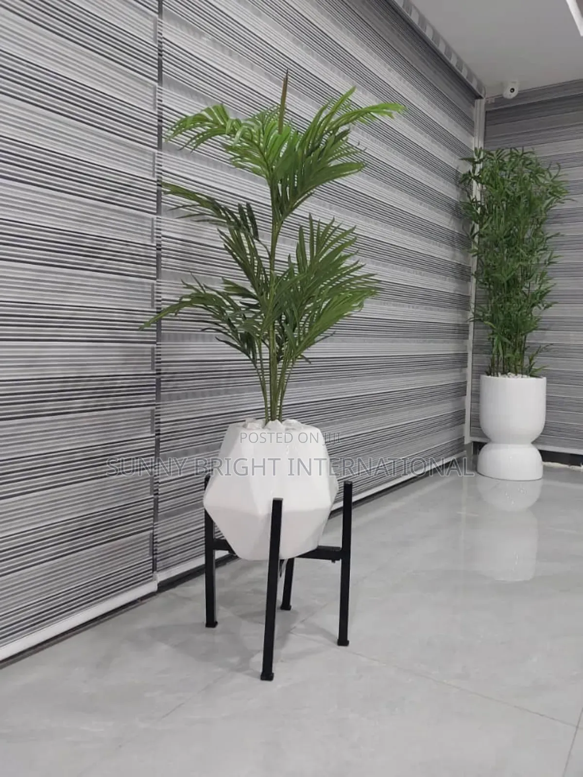 Plant and Flowers Pot