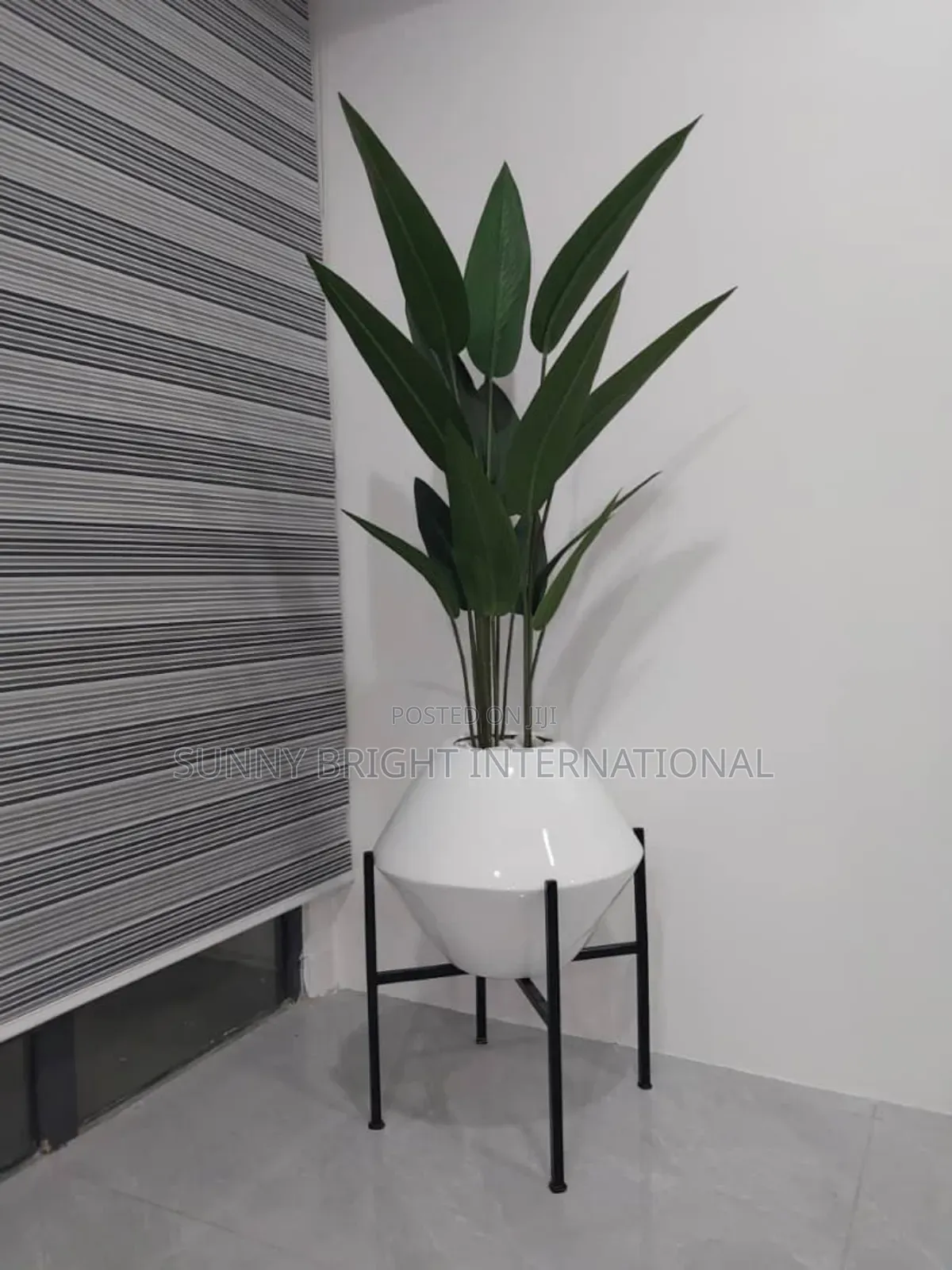 Plant and Flowers Pot