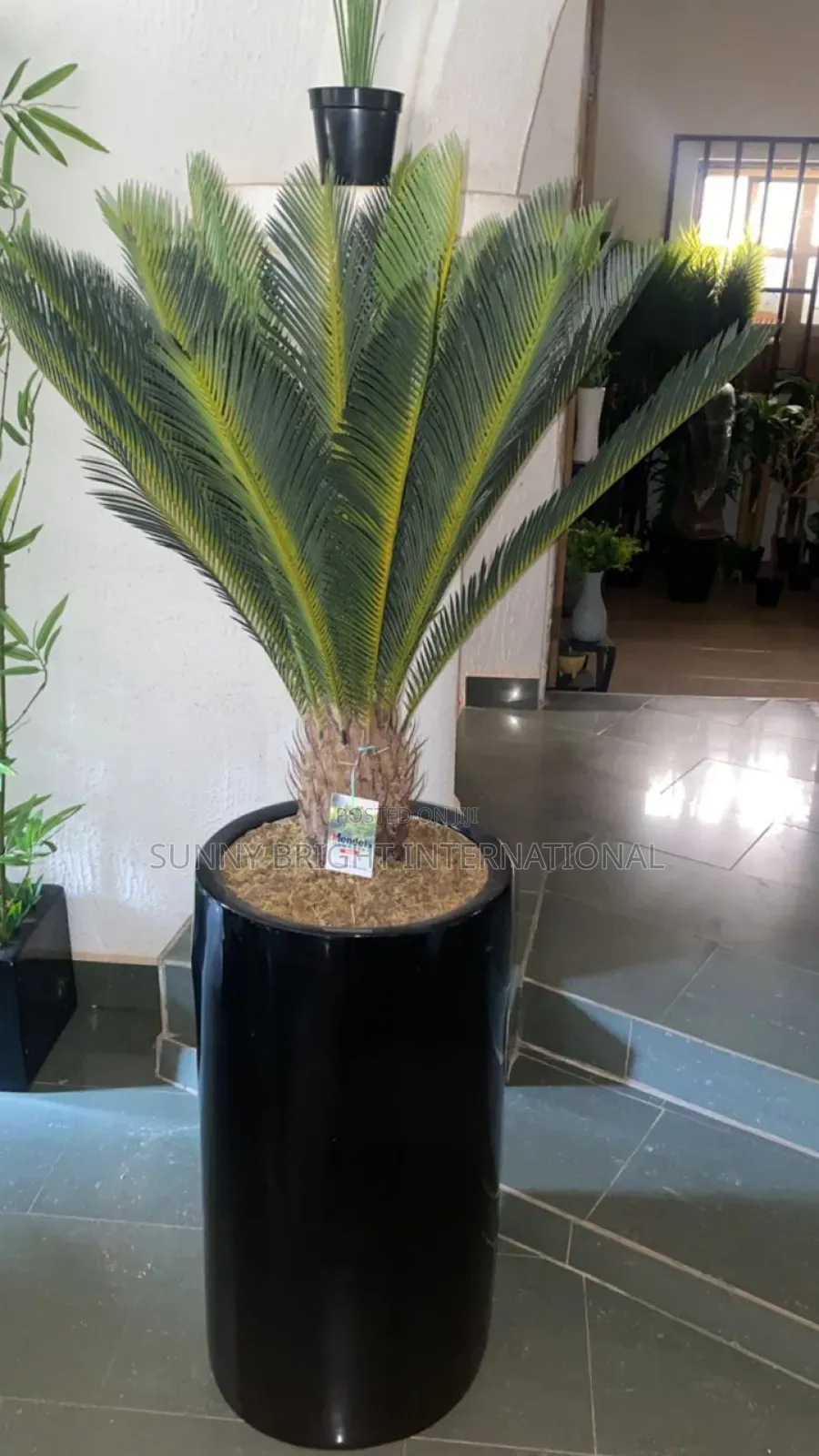 Plant and Flowers Pot
