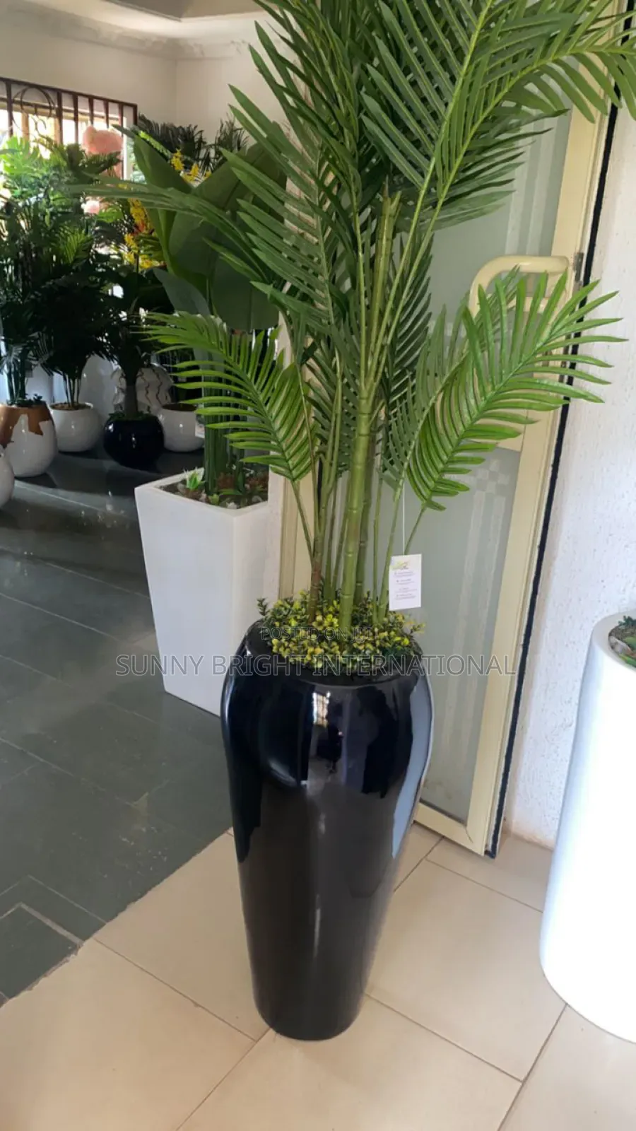 Plant and Flowers Pot