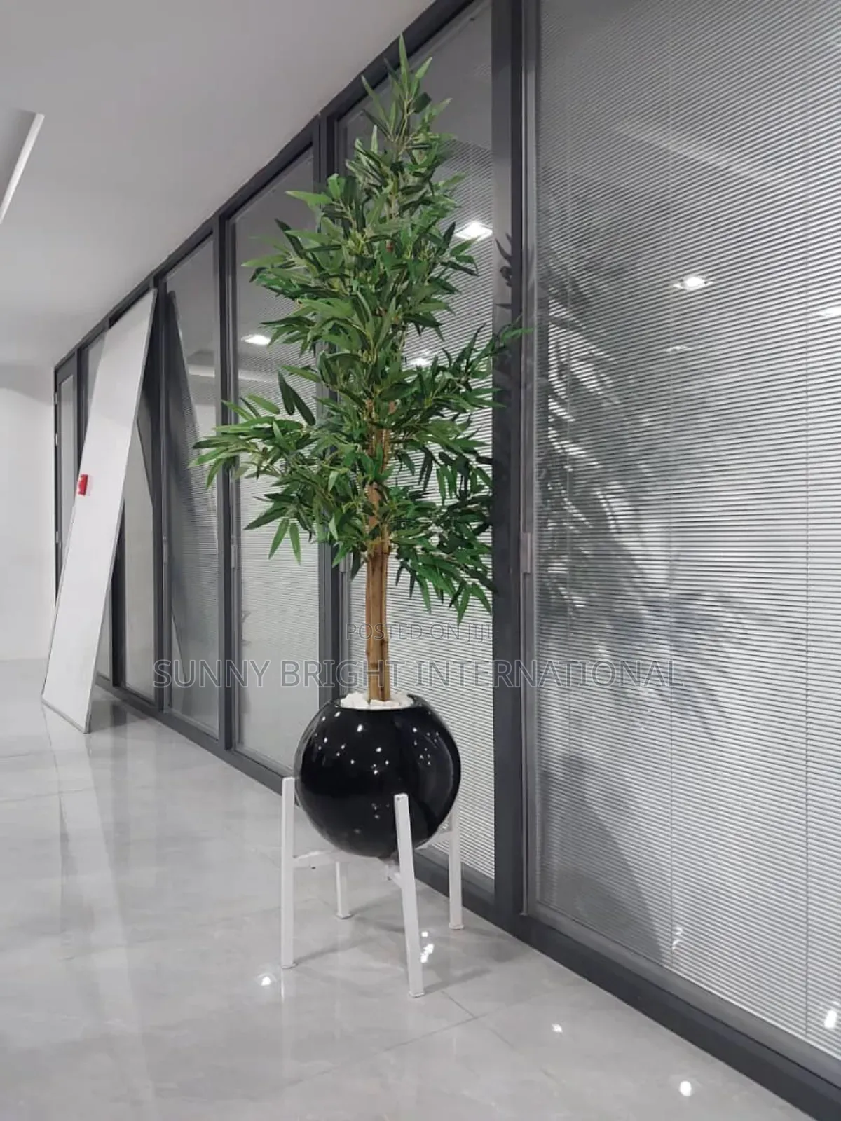 Plant and Flowers Pot