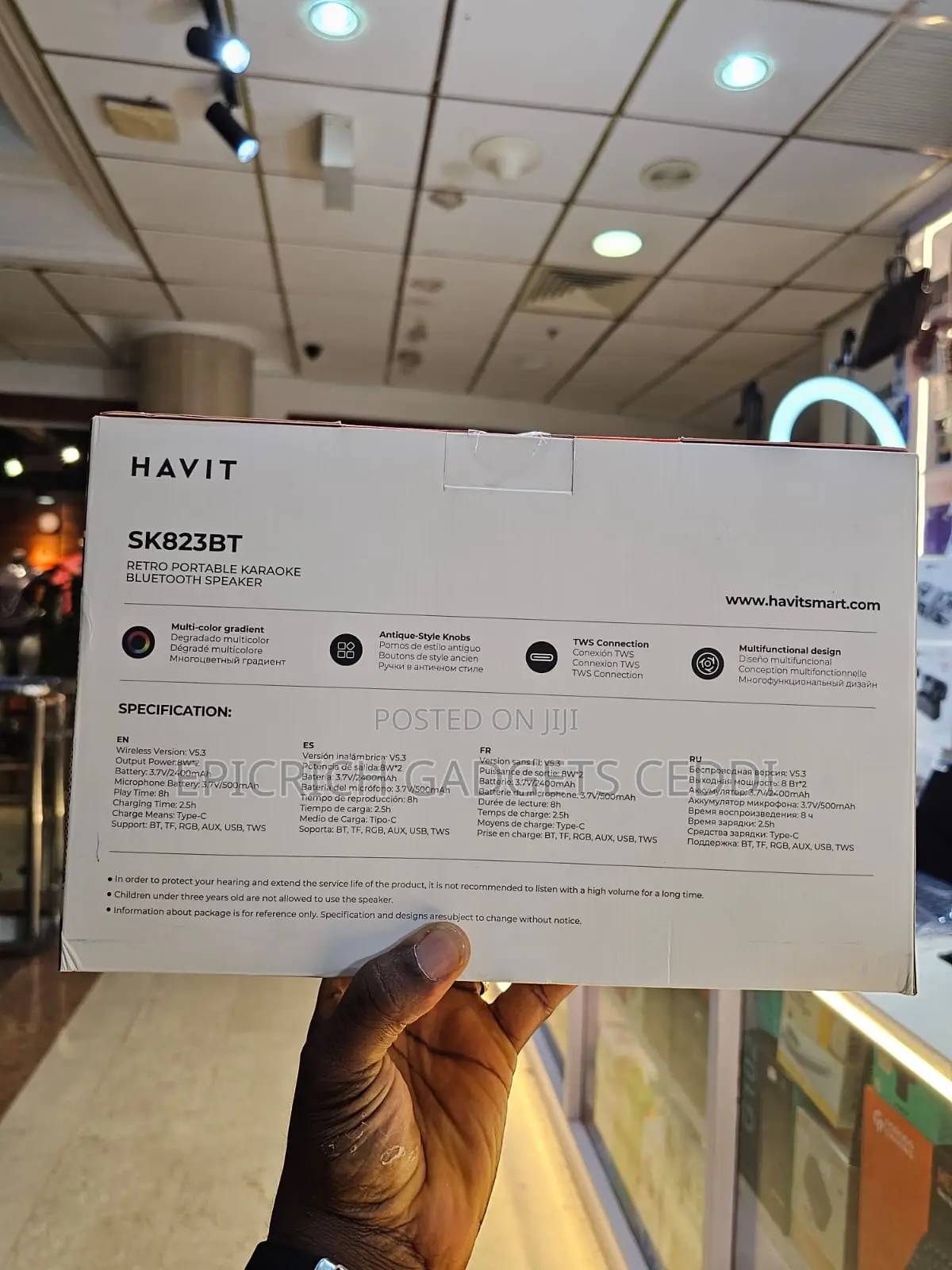 Havit Retro Portable Karaoke Speaker With Mic