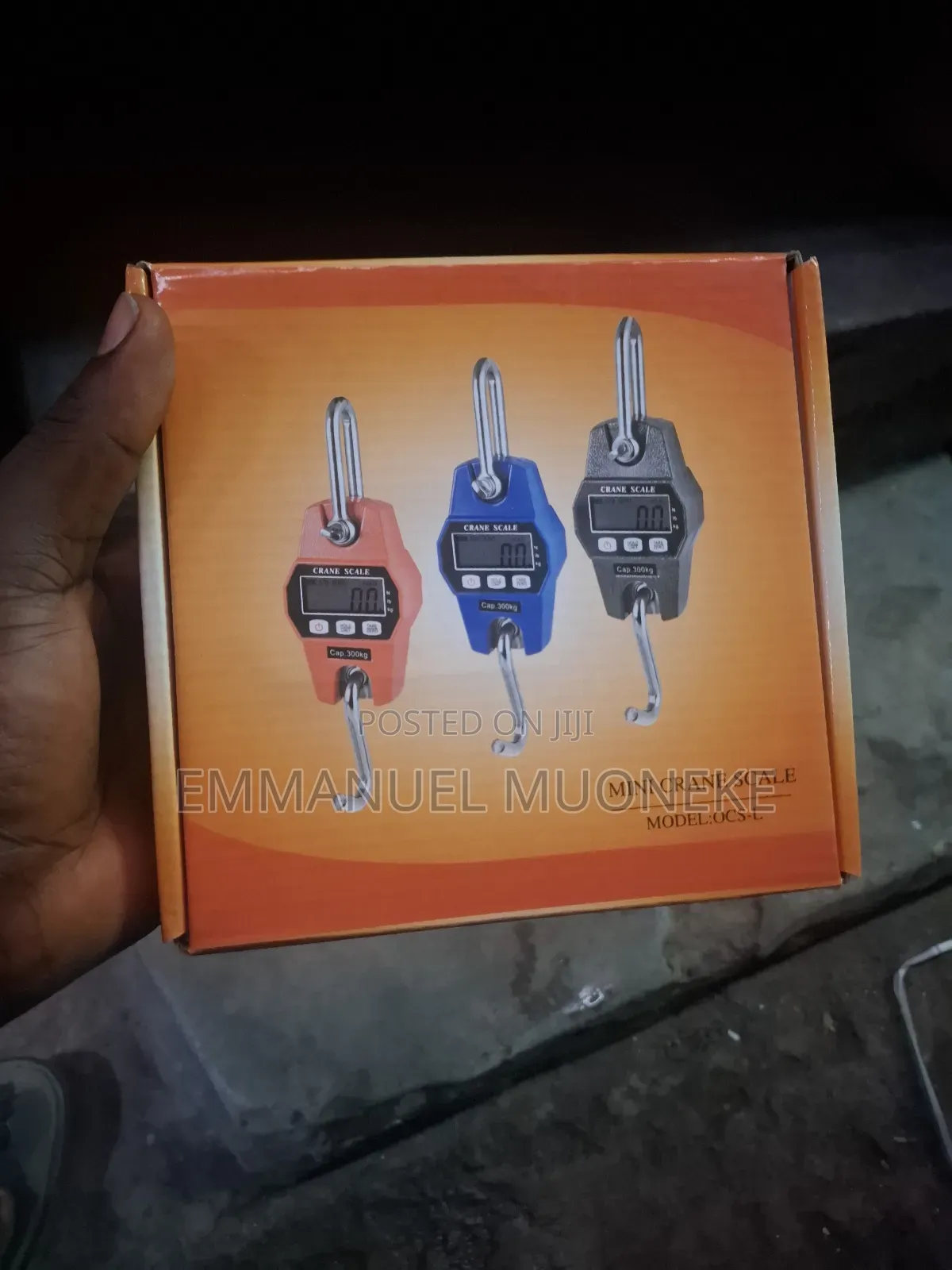Mini Crane Scale 300kg