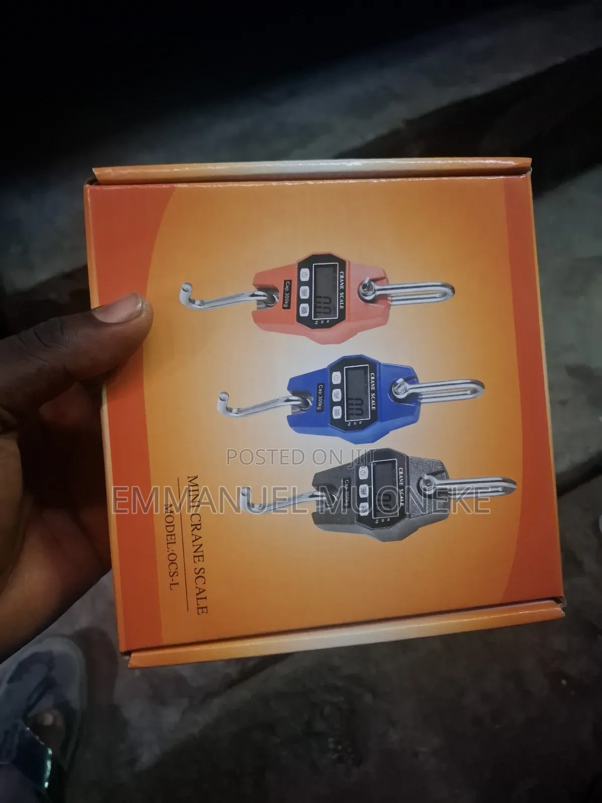 Mini Crane Scale 300kg