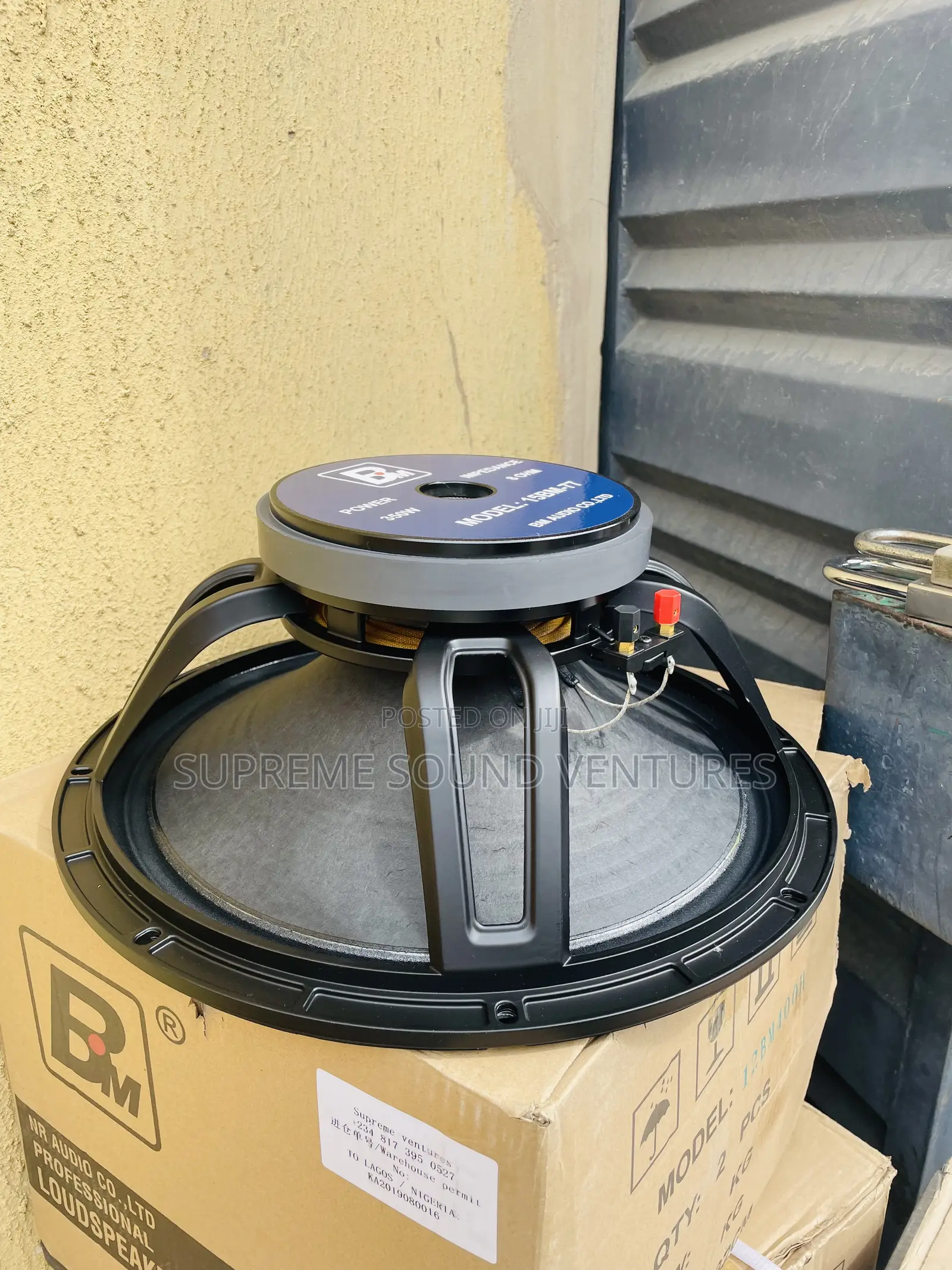 15 Inches Big Magnet Speaker