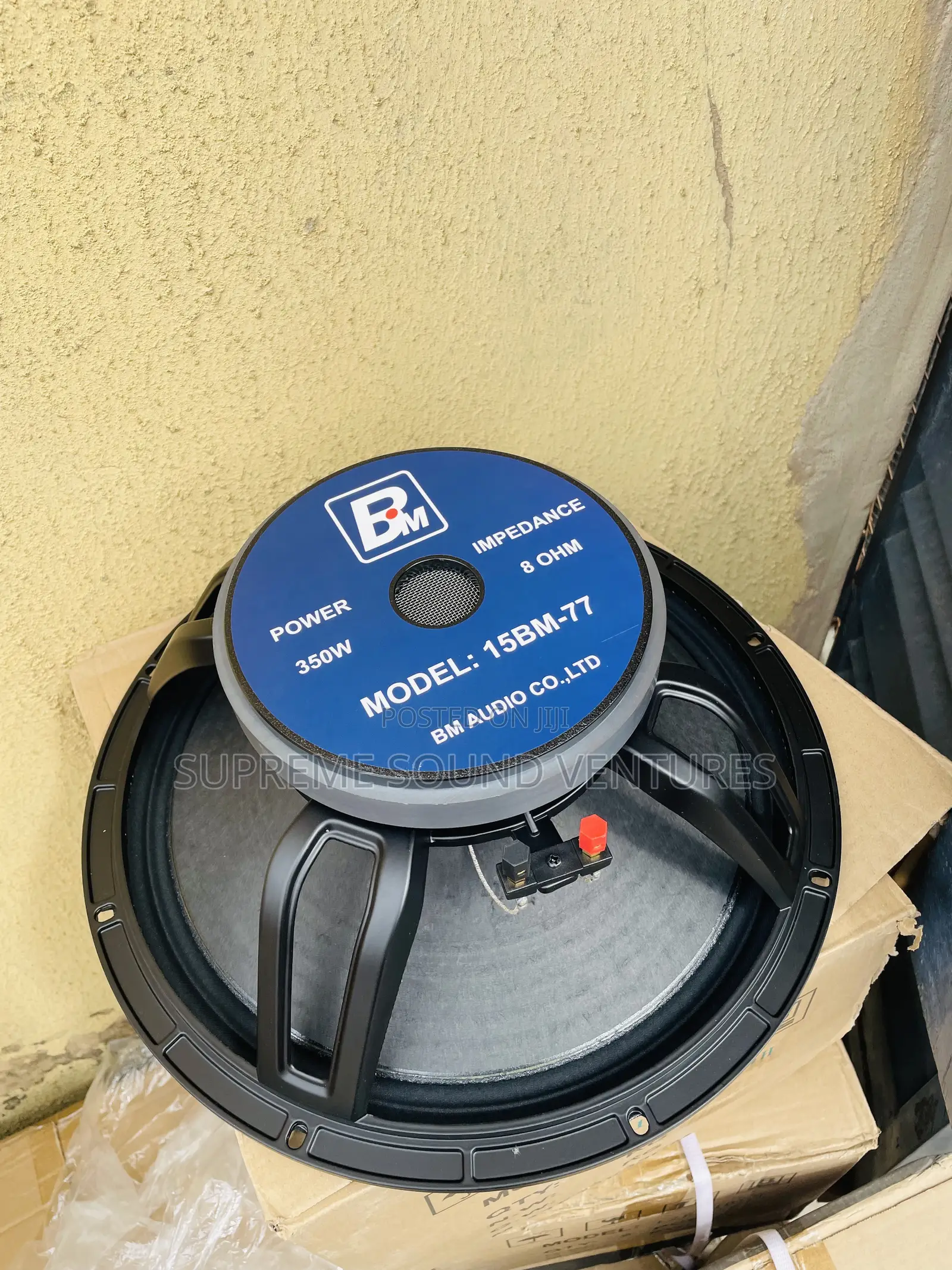 15 Inches Big Magnet Speaker