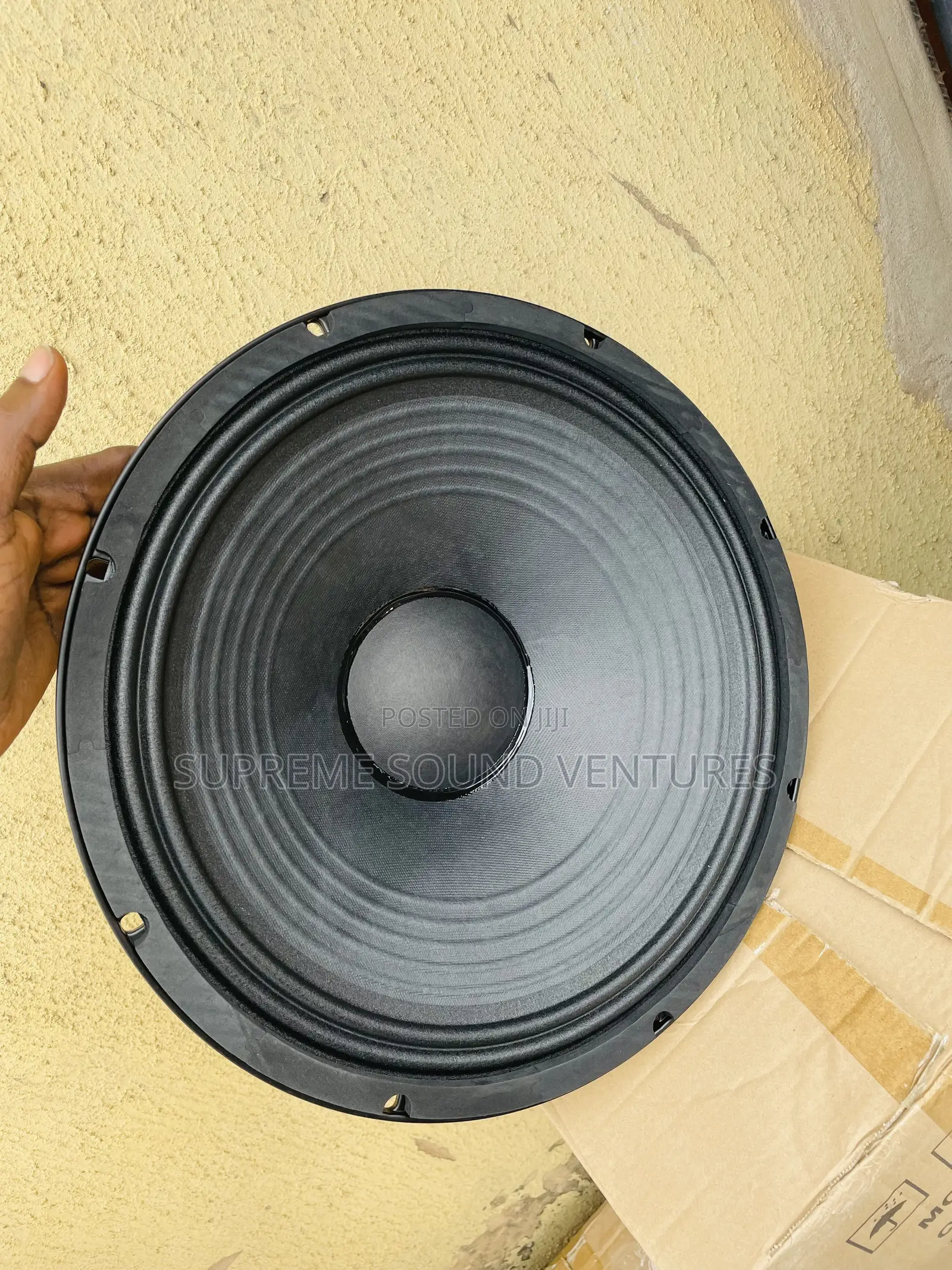 15 Inches Big Magnet Speaker